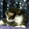 Cinzano - 3 weeks old