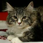click here to see Delores' page - and more photos