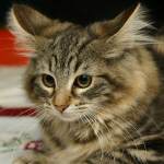 click here to see Delilah's page - and more photos