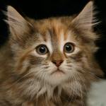 click here to see Frieda's page - and more photos