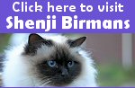 Click her to visit Loraine's other site, Shenji Birmans