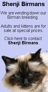 Click her to visit Loraine's other site, Shenji Birmans