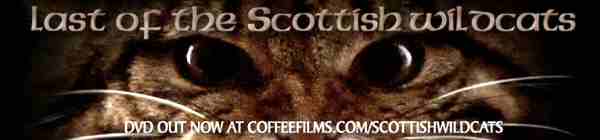 Click here to see the trailer to the DVD.   You can pre-order the DVD here, too - &pound; 15.00, inc. delivery.