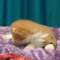 Suleiman - 1 week old