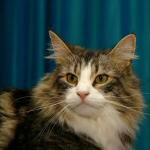 click here to see Jack's page - and more photos