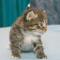 Torbjorn - 3 weeks old