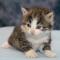Windermere - 3 weeks old