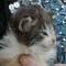 Ysabel - 4 weeks old