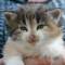 Ysabel - 4 weeks old