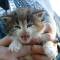 Ysabel - 4 weeks old