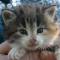Ysabel - 4 weeks old
