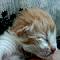 Dashiell - 2 days old