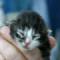 Dana - 2 days old