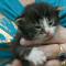 Dana - 10 days old