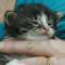 Dana - 10 days old