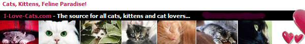If you love cats, visit us now for tons of free cat stuff!