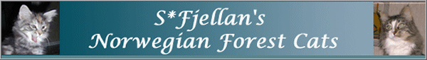 S*Fjellan's NFCs