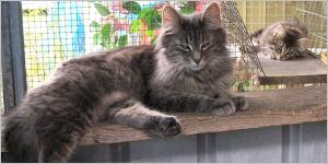 Click here to see Berenadette's page