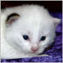 clcik to see Otis's page