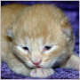 click to see rusty's page