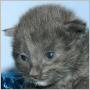 click to see Storm's page