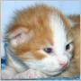 click to see Sandy's page