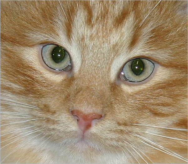Rusty - Thursday, 31-May-2007