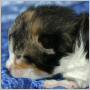 click to see Vivienne's page