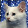 click here to see Sally-Anne's page