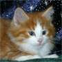 click to see Zeus' page