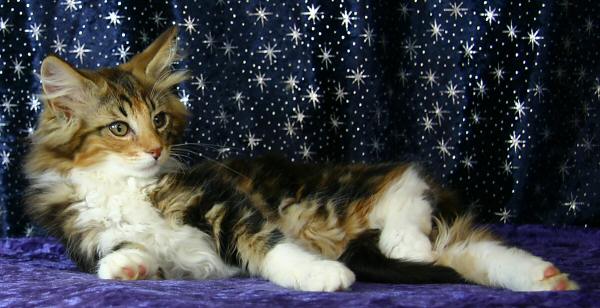 click here to see Ariel's page - and more photos...