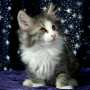 click to see Byron's page