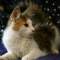 >Wishona Star - 18 weeks old