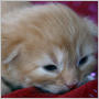 click to see more photos of Daniel