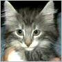 click here to see Indiana, all grown up...