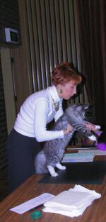 Judging in progress at the Birman Society Cat Show, 22-5-05