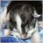 click to see photos of Lucas