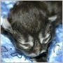 click to see photos of Lucinda