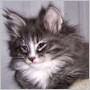 click here to see Celeste's page