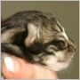 click here to see Yasmine's page