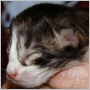 click here to see Yvette's page