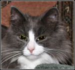 Borealis Eowyn, when she was 1  years old.