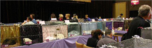 Birman Society Cat Show, 22-May-2005