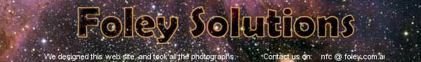 Foley Solutions: Web Design and Cat Photography... we made this site