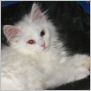 click to see Nadja's page