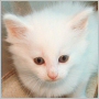 click here to see Ursula's page