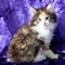 Emmeline