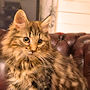 click to see details about Thorbjorn
